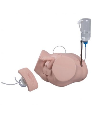 Simulatore per la pratica del cateterismo maschile e femminile PRO P93P-S