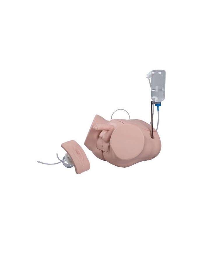 Simulatore per la pratica del cateterismo maschile e femminile PRO P93P-S