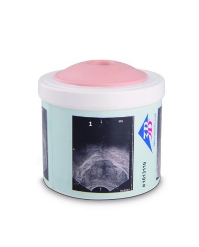 Simulatore per la pratica di esame della prostata, 4 stadi, 3B Scientific P58/1