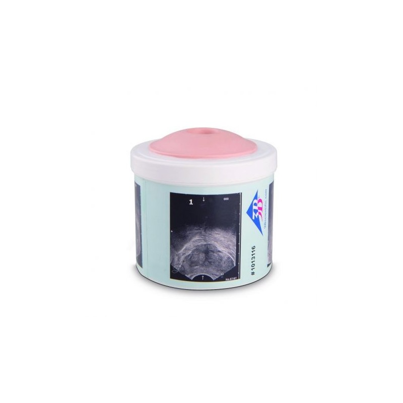 Simulatore per la pratica di esame della prostata, 4 stadi, 3B Scientific P58/1