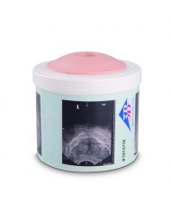 Simulatore per la pratica di esame della prostata, 4 stadi, 3B Scientific P58/1