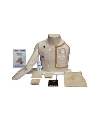 Simulatore per l'accesso al sistema venoso Chester Chest™