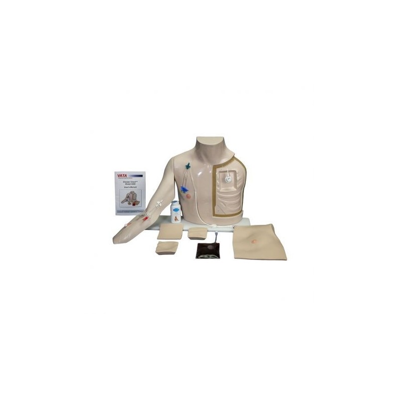 Simulatore per l'accesso al sistema venoso Chester Chest™