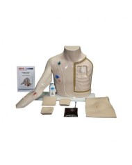Simulatore per l'accesso al sistema venoso Chester Chest™