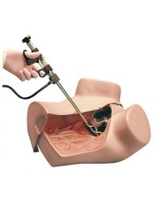 Simulatore per Ginecologia - Addestramento Multifunzionale - Erler Zimmer R10183