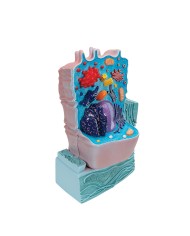 Modello di cellula animale 3B Scientific R04