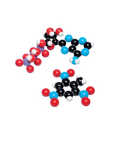 Kit di montaggio Biochimica D - W19702