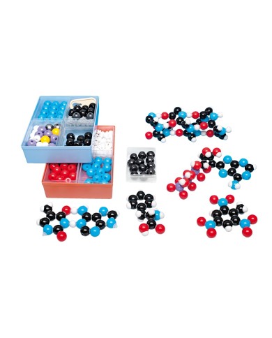 Kit di montaggio Biochimica D - W19702