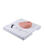 Modello di mammella con tumori SONOtrain P125