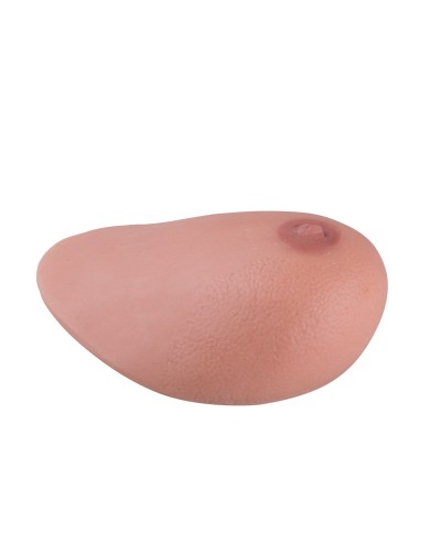 Modello di mammella con tumori SONOtrain P125