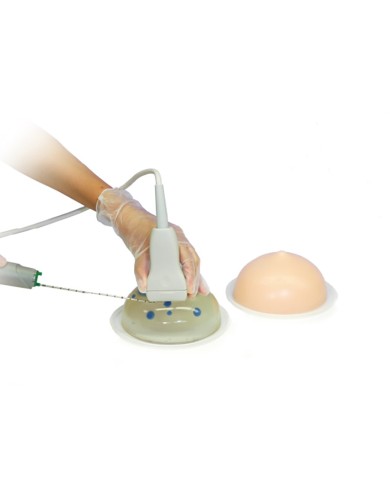 Kit Addestramento Biopsia mammaria ad ultrasuoni  (2Pz) R16675