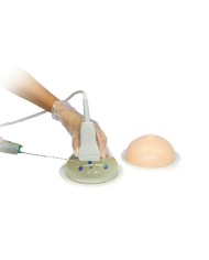 Kit Addestramento Biopsia mammaria ad ultrasuoni  (2Pz) R16675