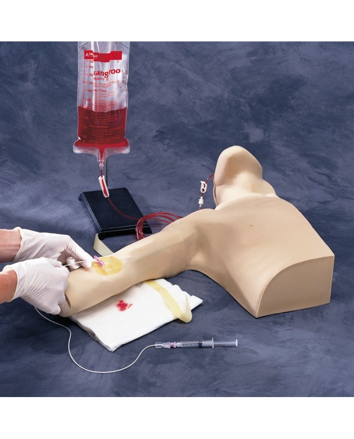 Simulatore per l'addestramento PICC -  R18802