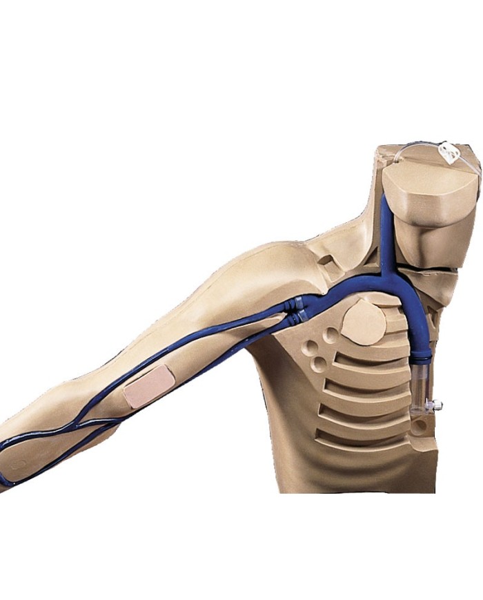 Simulatore per l'addestramento PICC -  R18802