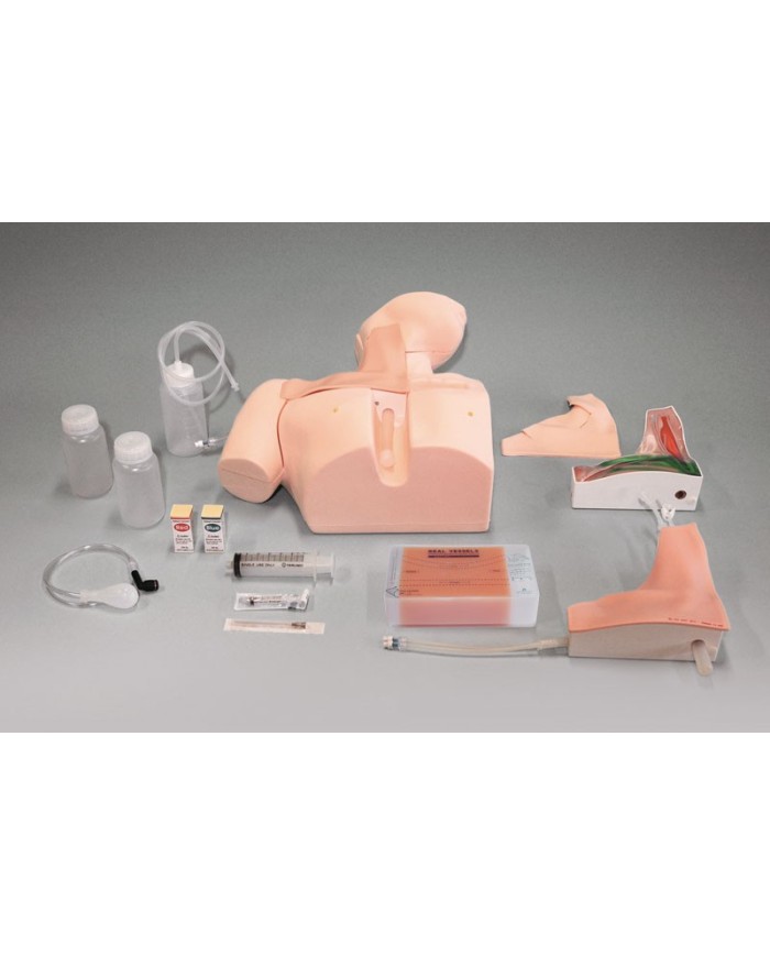 Simulatore di cannulazione venosa centrale guidato ad Ultrasuoni R16051