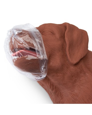 CasPeR Manichino di cane per la rianimazione CPR