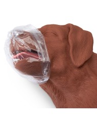 CasPeR Manichino di cane per la rianimazione CPR