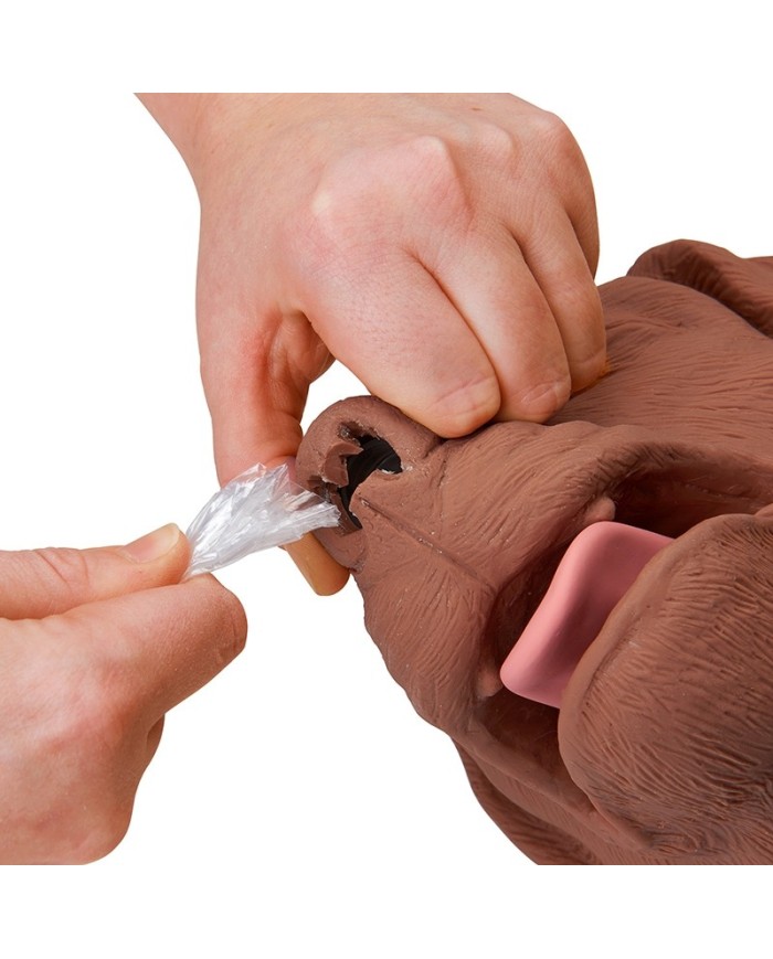 CasPeR Manichino di cane per la rianimazione CPR