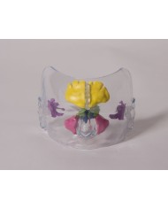 Modello anatomico di naso trasparente a dimensioni naturali Erler Zimmer