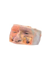 Orbita Superiore Erler Zimmer 3D anatomy Series