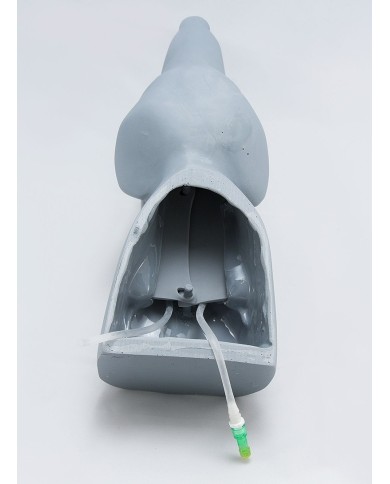 Testa di cane per simulazione di accesso vascolare SRE0620