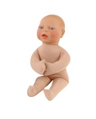 Modello di Feto Erler Zimmer R10070