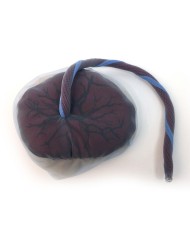 Placenta e cordone ombelicale Erler Zimmer R10071