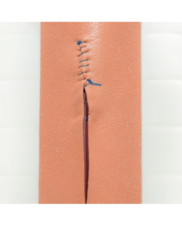 Tessuto di ratto topo simulato con tecnologia Real Layer SRE0200LLARM