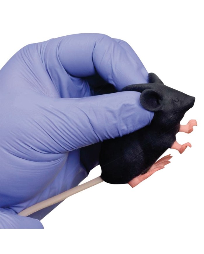 Manichino di topo Mimicky Mouse EZ VET4220