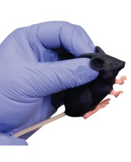 Manichino di topo Mimicky Mouse EZ VET4220