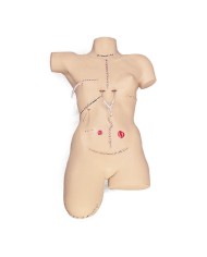 Simulatore di bendaggio Erler Zimmer R10021