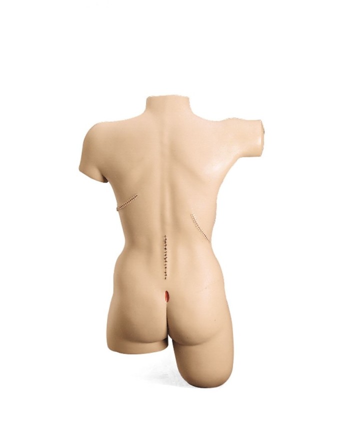 Simulatore di bendaggio Erler Zimmer R10021