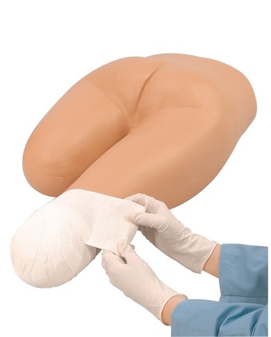 Torso umano inferiore per simulazioni di bendaggio Erler Zimmer R10023