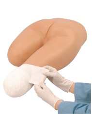 Torso umano inferiore per simulazioni di bendaggio Erler Zimmer R10023