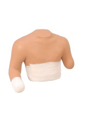 Torso umano per simulazioni di bendaggio Erler Zimmer R10022