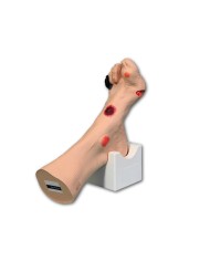 Simulatore di piede con ulcere Wilma Erler Zimmer R10227