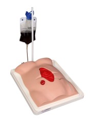 Fistola skills trainer con custodia Freddie Erler zimmer R11050 