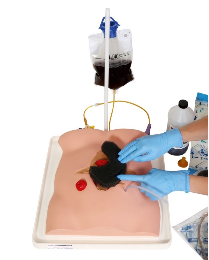 Fistola skills trainer con custodia Freddie Erler zimmer R11050 