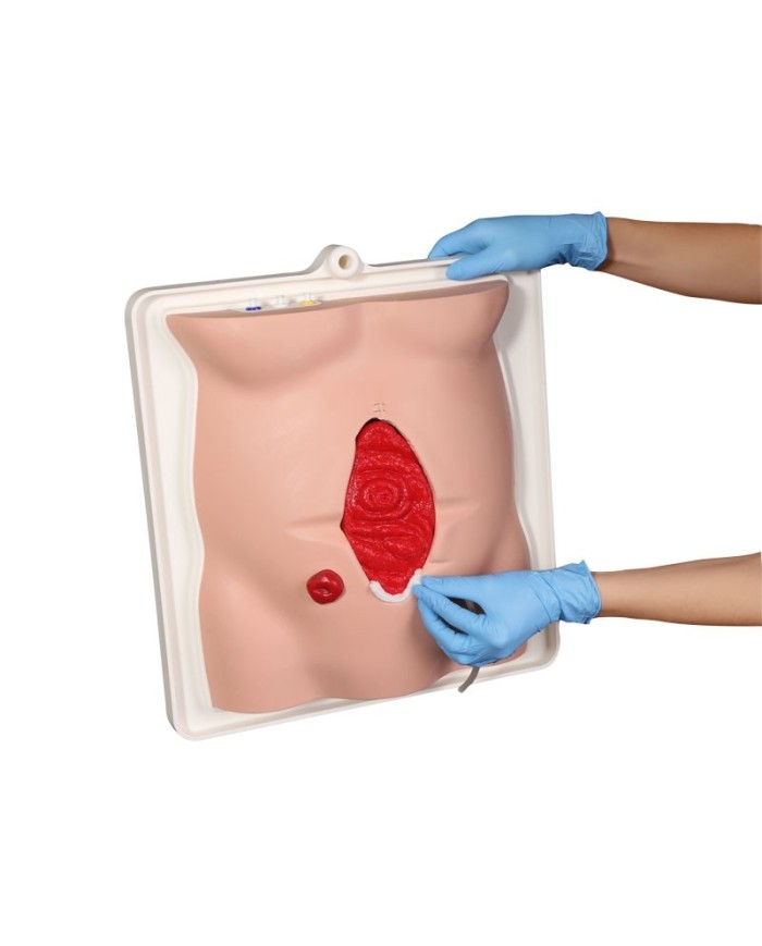 Fistola skills trainer con custodia Freddie Erler zimmer R11050 