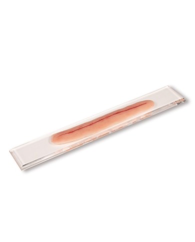 Moulage di ferita chirurgica senza sutura 22cm per auto sutura Erler Zim