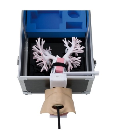 Simulatore per broncoscopia a ulltrasuoni LM99