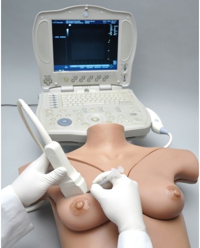Simulatore per ecografia mammaria L58