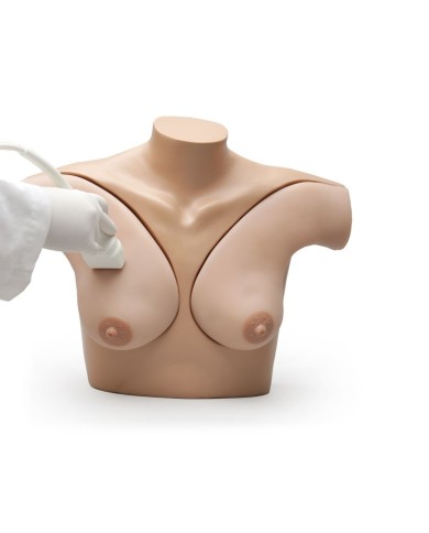 Simulatore per ecografia mammaria L58