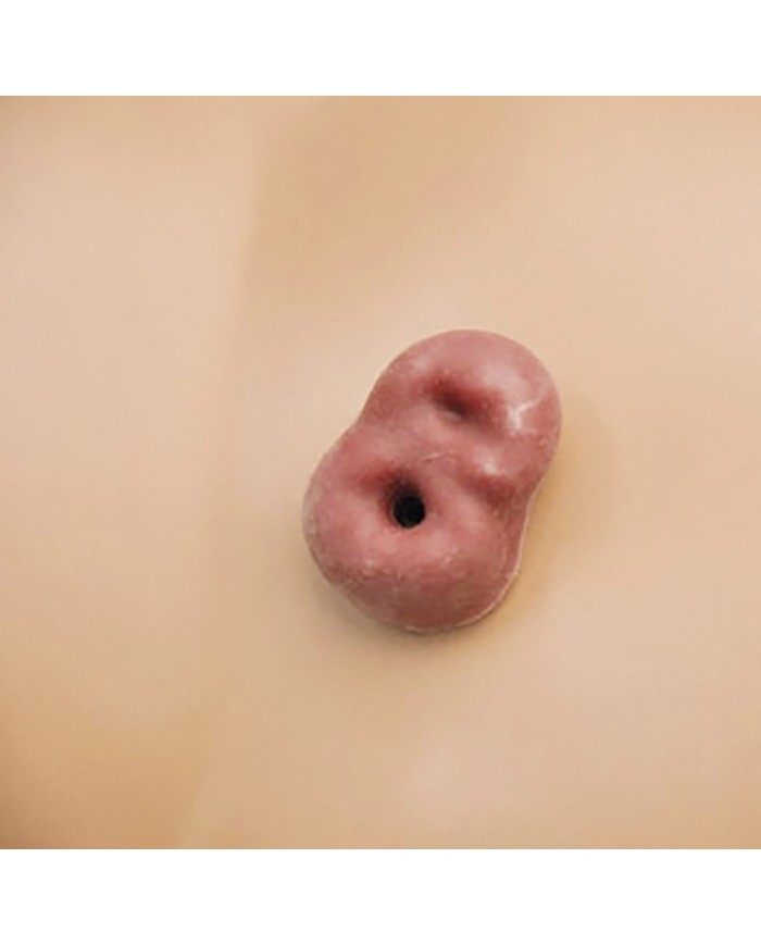 Simulatore di Paziente per infermieristica bisessuato donna EZ R17600