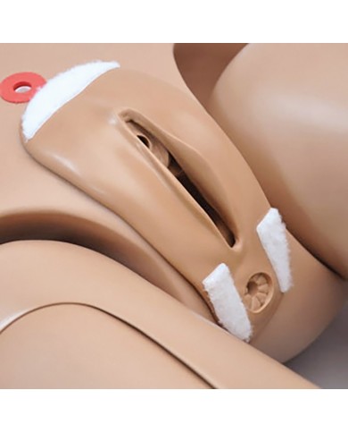 Simulatore di Paziente per infermieristica bisessuato donna EZ R17600