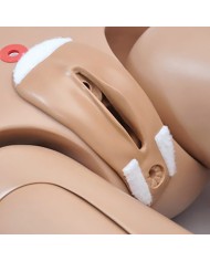 Simulatore di Paziente per infermieristica bisessuato donna EZ R17600