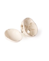 Cranio di lusso per odontoiatria e chirurgia dentale in 5 parti Erler Zimm