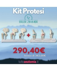 Kit articolazioni dell'anca e del ginocchio con protesi