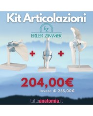 Kit Articolazione dell anca della spalla e del ginocchio Erler Zimmer