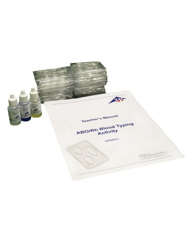 Tipizzazione Sanguigna simulata AB0 Rh W56621